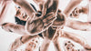 Group of women in a huddle with their hands in the middle. Shot taken from underneath.