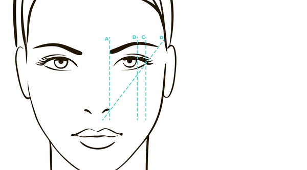 step by step brow mapping diagram